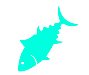 Tuna